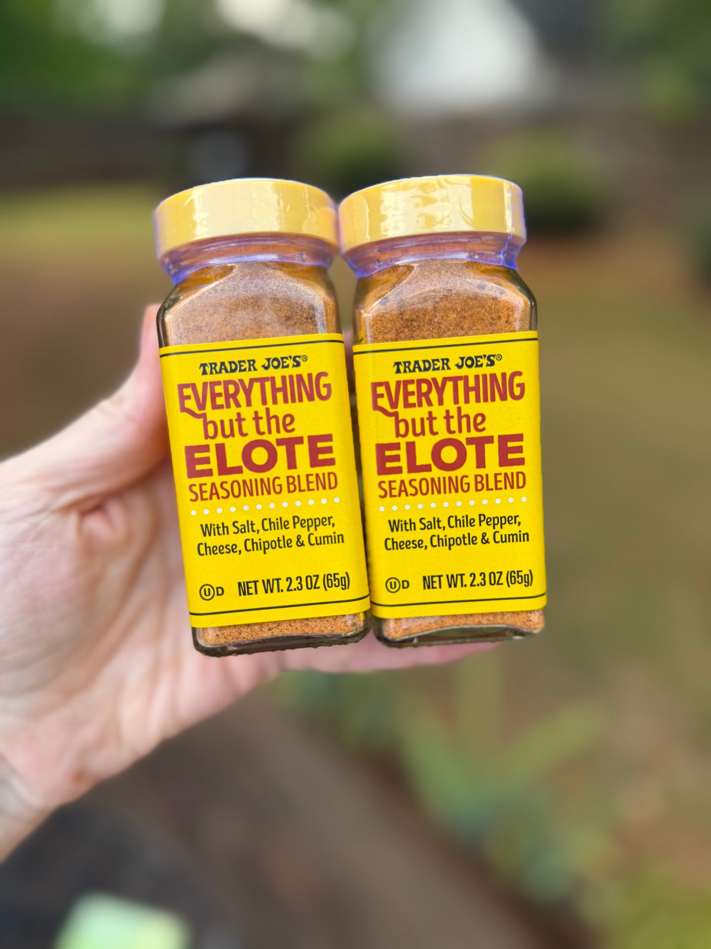 Everything But The Elote Seasoning Blend